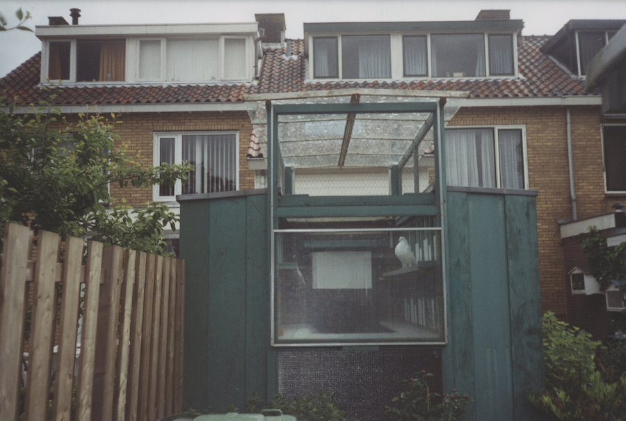 Mijn vorige duiventil met inkijkje in de ren naar de kiosk