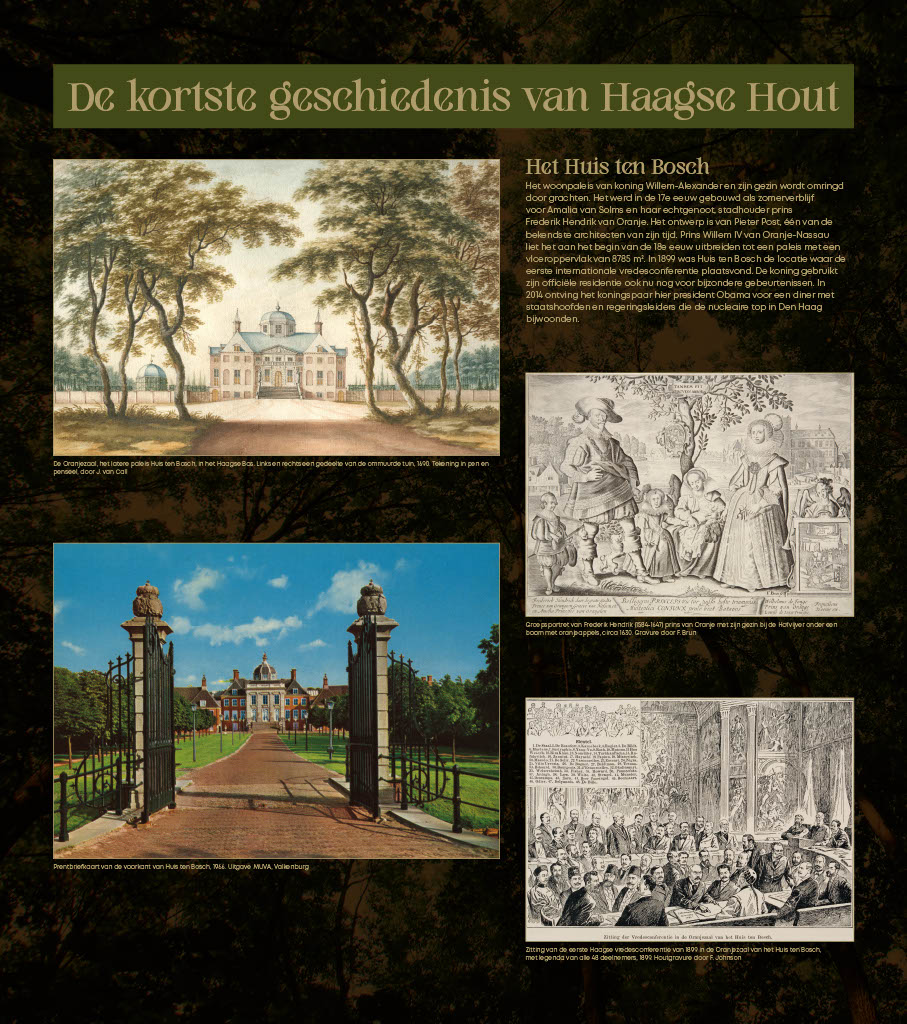 Atriumtentoonstelling Haagse Hout 2