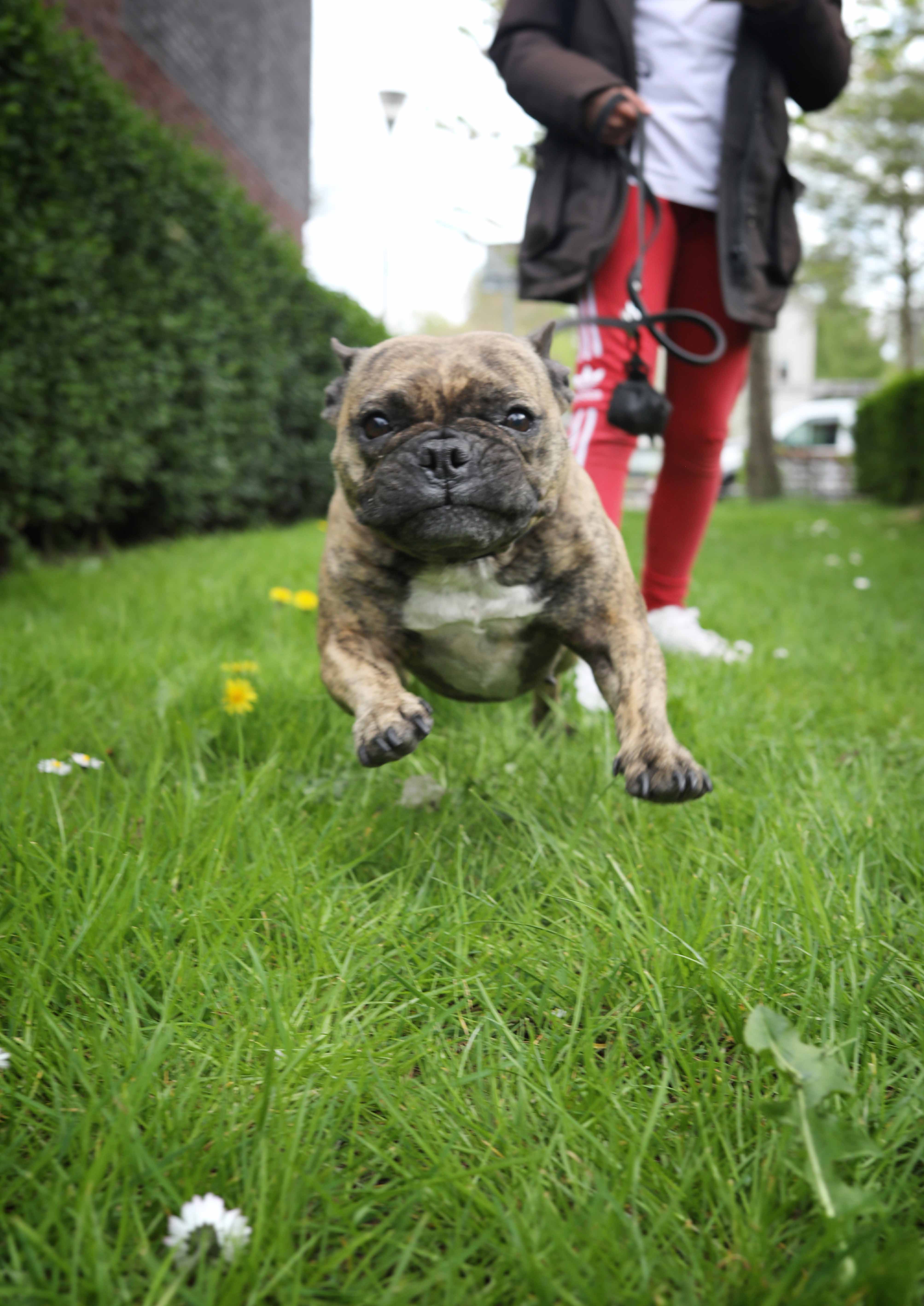 Galerij tentoonstelling Feest in de Vinex