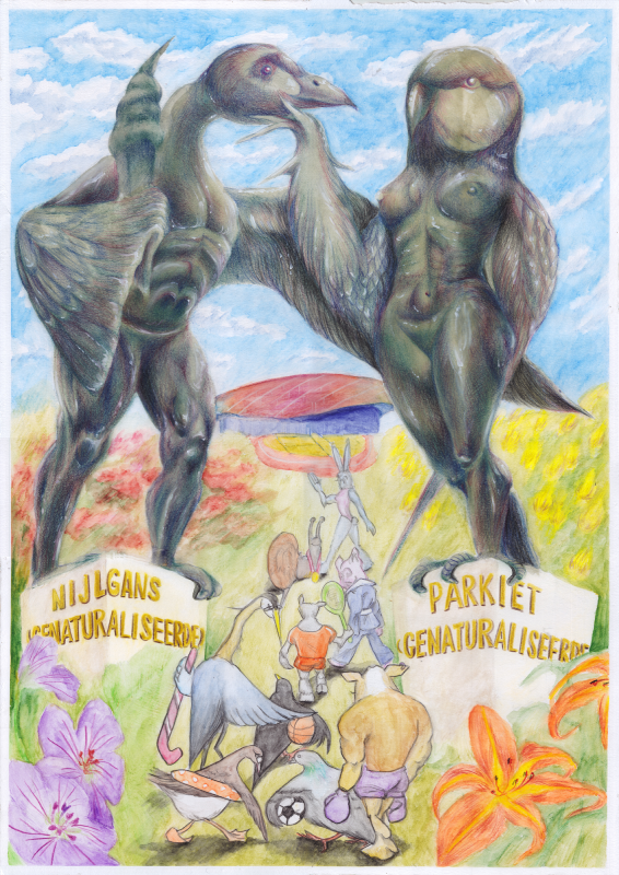 Beelden in transitie