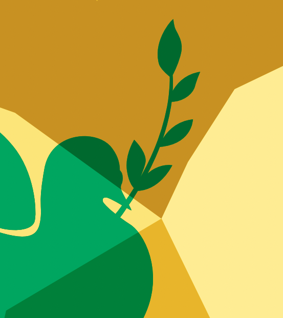 De Haagse vredesconferenties