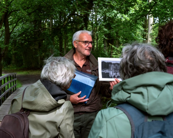 De kortste geschiedenis van Haagse Hout