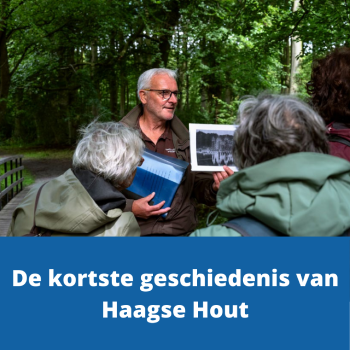 Kortste geschiedenis van Haagse Hout