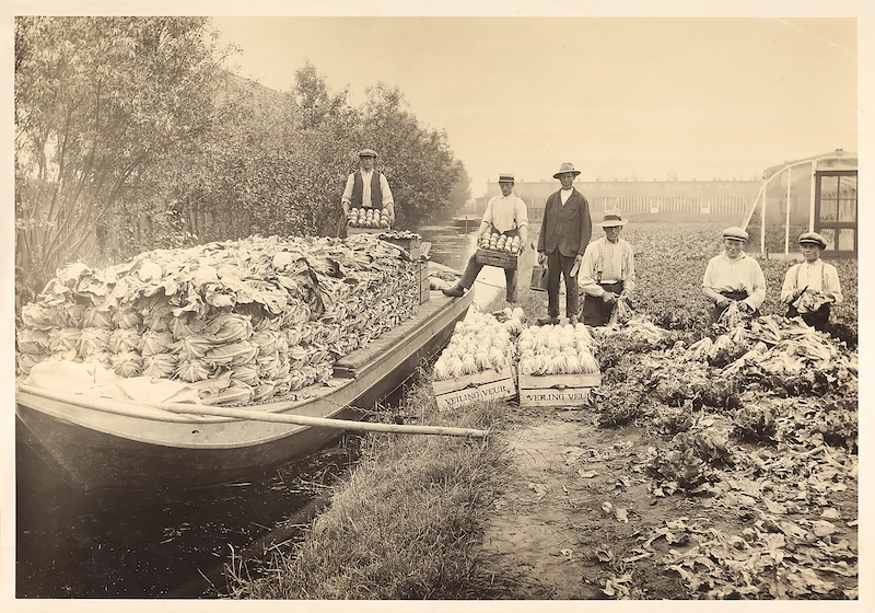 Tuinderij en veilingschuit van de familie Vieveen aan de Veurse Achterweg in 1926