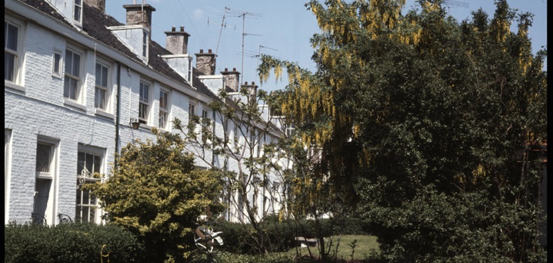 Julianahof aan de Zwarteweg 1975. Foto: M. Paans