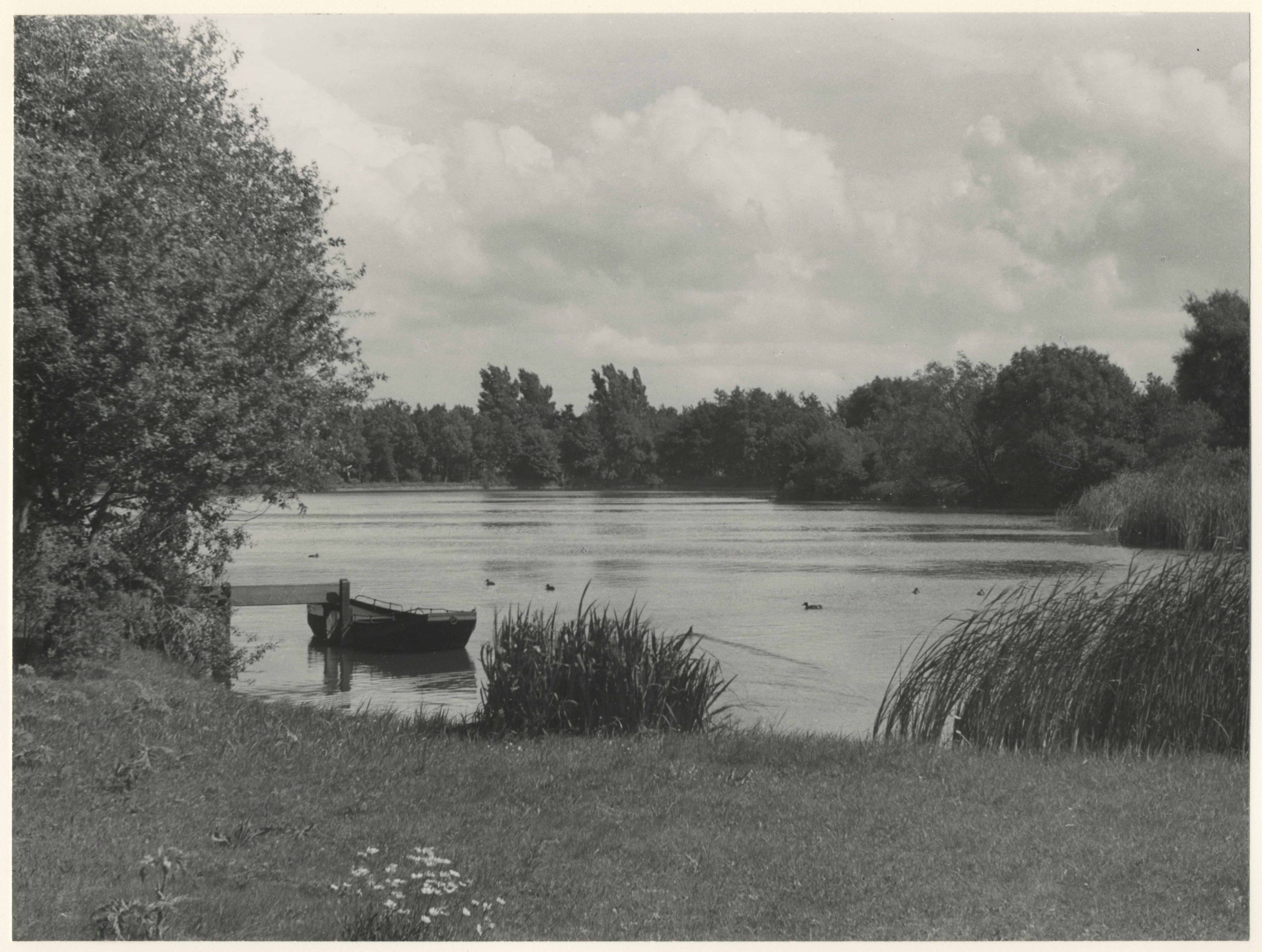 Vijver Zuiderpark, 1948, maker: Dienst voor de Stadsontwikkeling