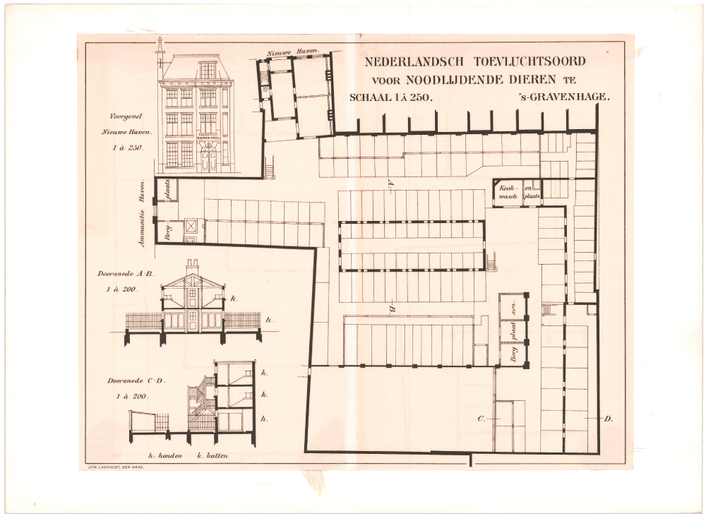 1906, Litho van Lankhout uit Den Haag