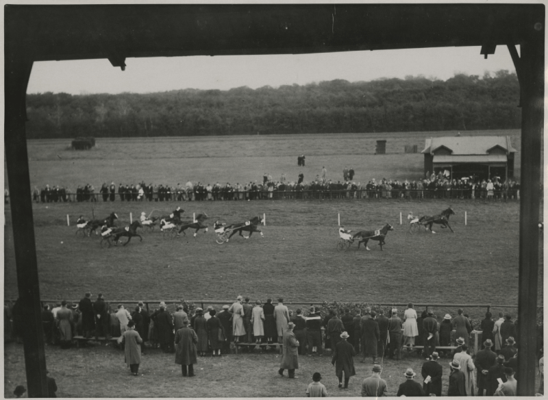 Courses op Duindigt, start van de draverij om de Rhodepe prijs, 1937. Foto: Polygoon