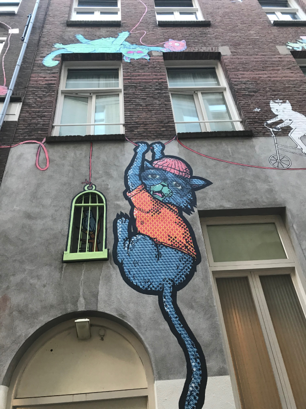 Achteromkatten, 2020, foto Wendy Louw