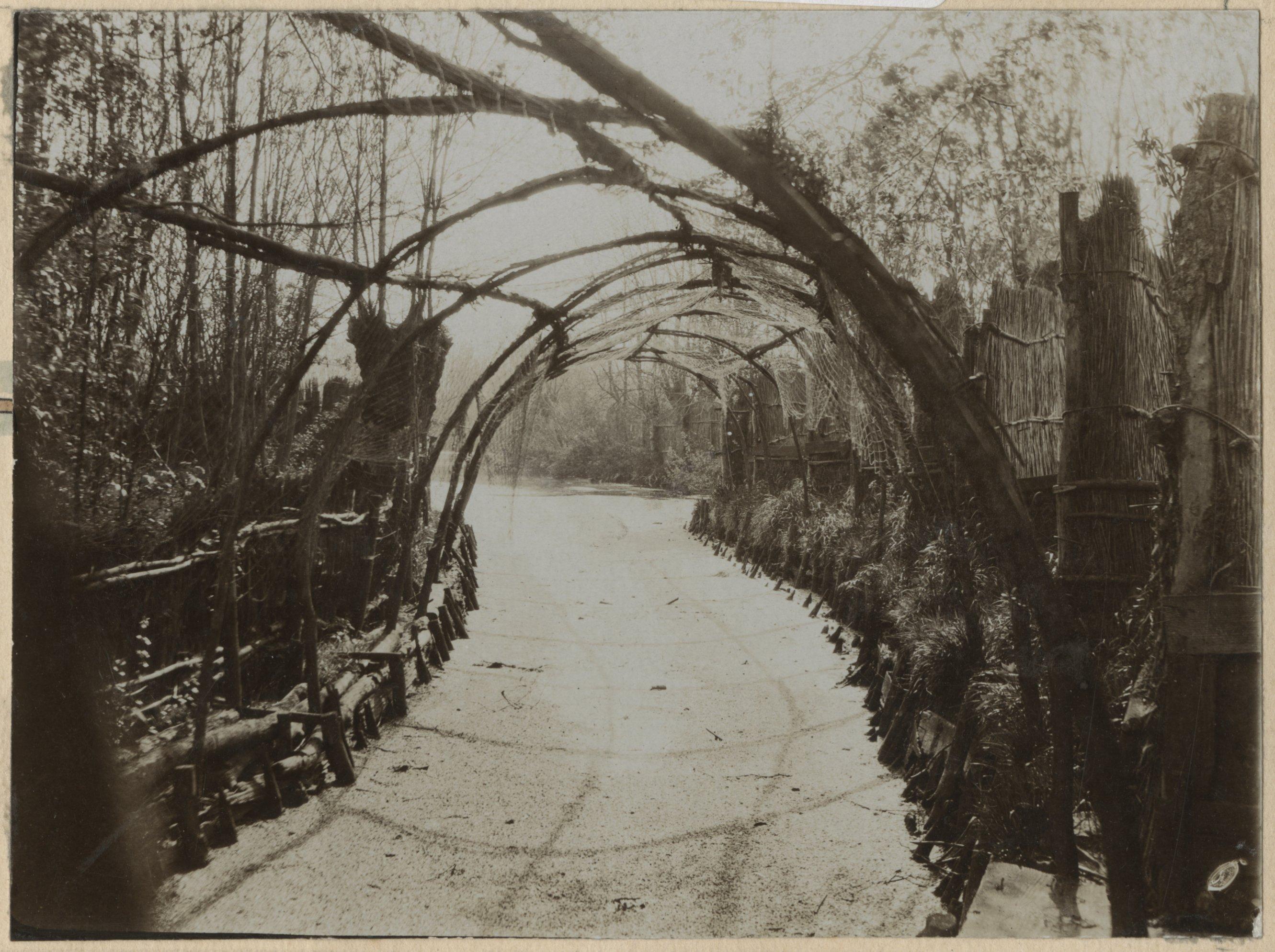 Zuiderpark gezicht op een van de pijpen van de eendenkooi. 1923, maker Dienst voor de gemeenteplantsoenen