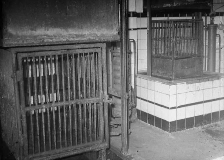 Nieuwe Haven 71-73, interieur van het dierenasiel in 1947, maker: Fotopersbureau Van den Heuvel 