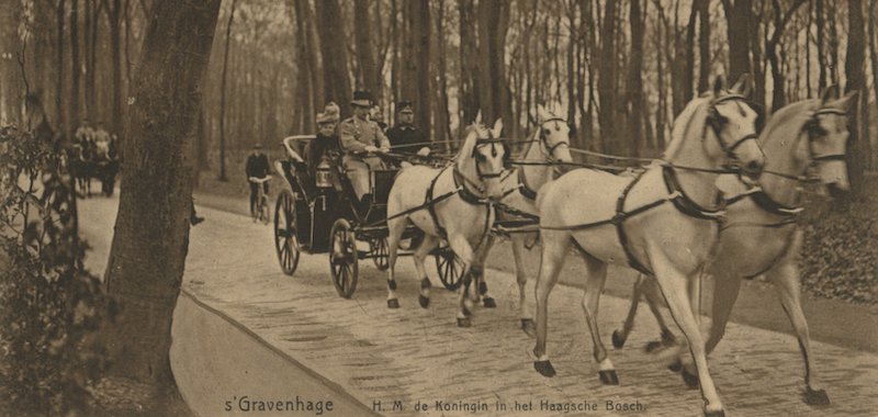 Rond 1908, de koningin met de koets door het Haagse Bos | fotograaf onbekend Rond 1908, de koningin met de koets door het Haagse Bos | fotograaf onbekend