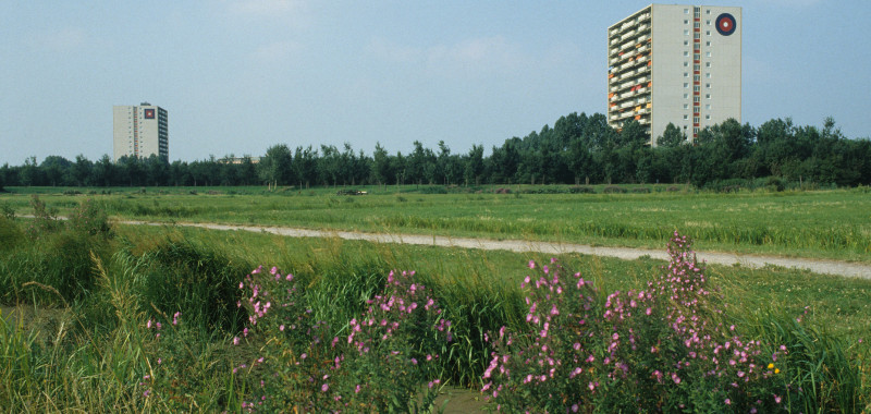 1990, Recreatiegebied De Uithof met op de achtergrond de hoge flats aan de Lozerlaan | Fotograaf: P.G. Kempff 1990, Recreatiegebied De Uithof met op de achtergrond de hoge flats aan de Lozerlaan | Fotograaf: P.G. Kempff