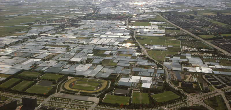 Ca. 1975, Luchtfoto; op de voorgrond het complex sportvelden "De Schilp" aan de Schaapweg, daarachter een kassengebied gezien in de richting van Wateringen; de kronkelende weg is de Noordweg en geheel rechts loopt de Erasmusweg; in dit gebied wordt na 1995 Wateringseveld gerealiseerd | Fotograaf: Stokvis Ca. 1975, Luchtfoto; op de voorgrond het complex sportvelden "De Schilp" aan de Schaapweg, daarachter een kassengebied gezien in de richting van Wateringen; de kronkelende weg is de Noordweg en geheel rechts loopt de Erasmusweg; in dit gebied wordt na 1995 Wateringseveld gerealiseerd | Fotograaf: Stokvis