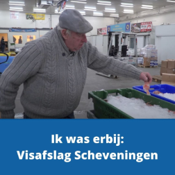 Ik was erbij Visafslag Scheveningen